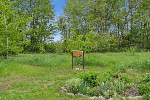 79 Colins Meadow Ln, Alfred, ME 04002 - view of yard