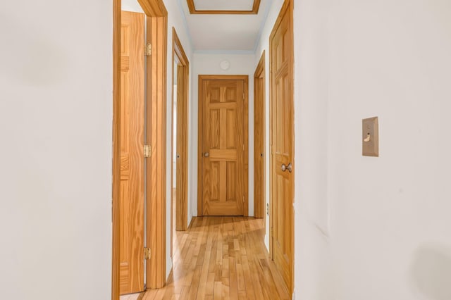 8 Sylvan Rd, Orono, ME 04473 - hallway with light wood-style floors