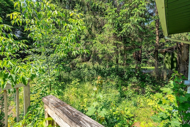 8 Sylvan Rd, Orono, ME 04473 - view of yard
