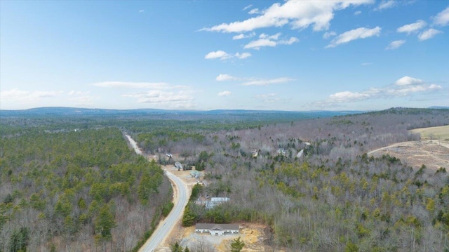49 Winter Brook Rd Unit B, Mechanic Falls, ME 04256
