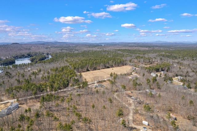 aerial view with a mountain view and a forest view