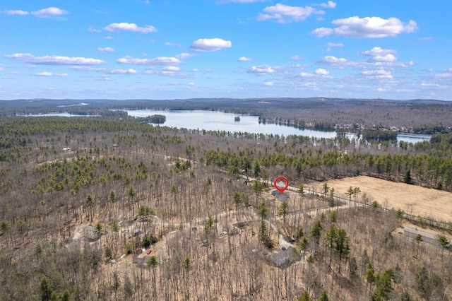 birds eye view of property with a view of trees and a water view