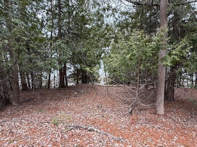 view of local wilderness