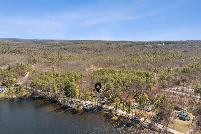 34 Jordan Shore Dr, Poland, ME 04274 - aerial view featuring a forest view and a water view