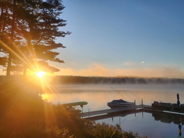 property view of water featuring a boat dock