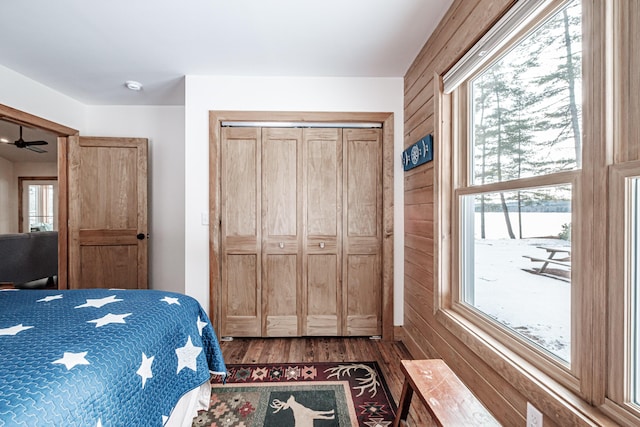 bedroom with wooden walls, dark wood-style floors, and multiple windows