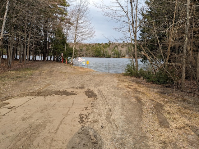 view of yard featuring a water view and a view of trees