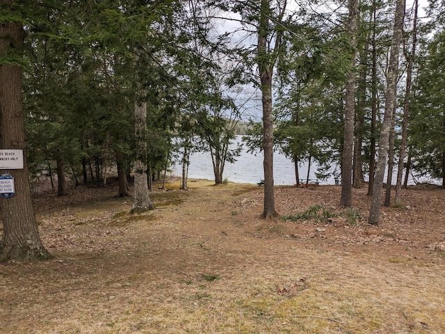 view of nature with a water view