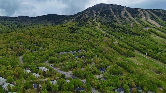 2328 Oak Dr Unit 22, Carrabassett Valley, ME 04947 - photo 4