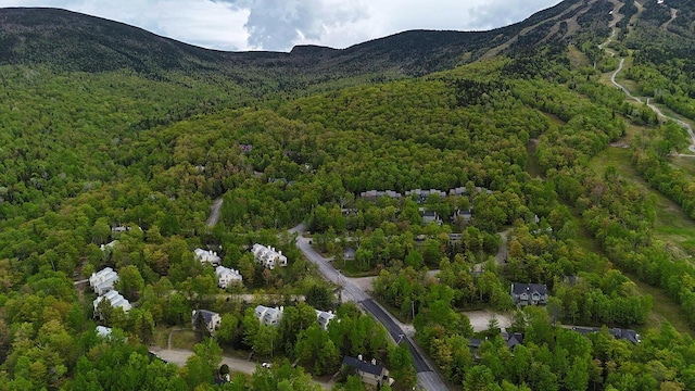 2328 Oak Dr Unit 22, Carrabassett Valley, ME 04947 - photo 37
