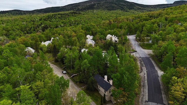 2328 Oak Dr Unit 22, Carrabassett Valley, ME 04947 - photo 3