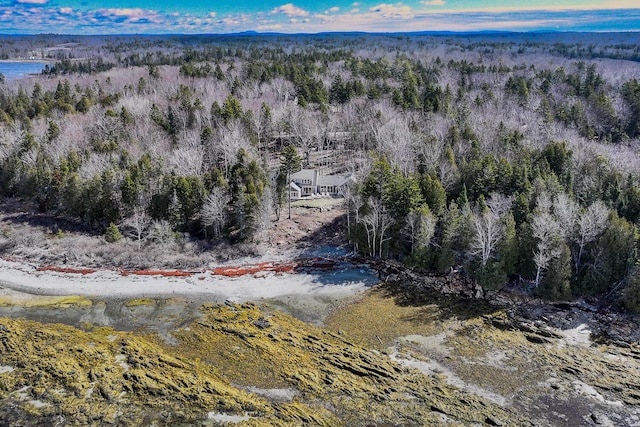 drone / aerial view with a forest view