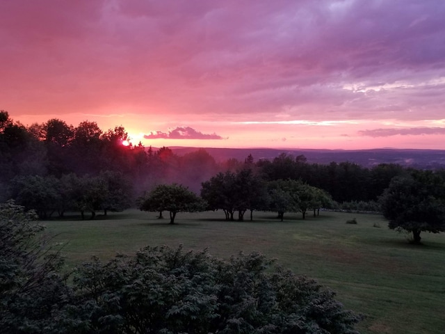 1083 N Rd, Ripley, ME 04930 - view of yard
