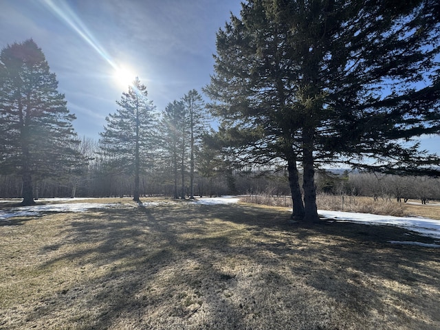1083 N Rd, Ripley, ME 04930 - view of yard