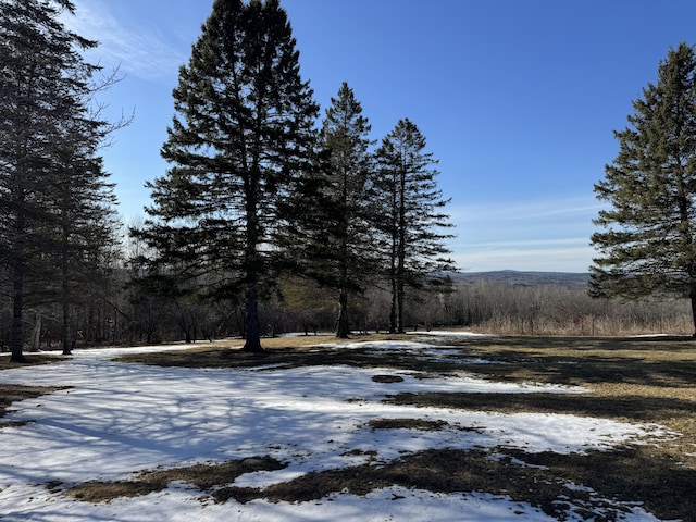 1083 N Rd, Ripley, ME 04930 - view of road