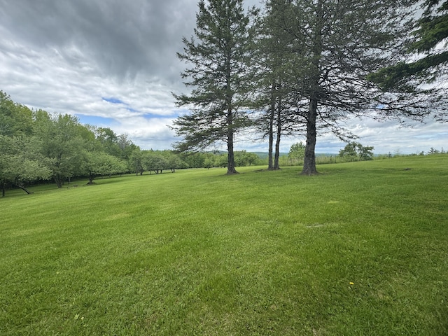 1083 N Rd, Ripley, ME 04930 - view of green lawn