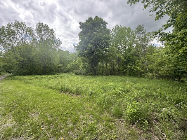 1083 N Rd, Ripley, ME 04930 - view of yard with a view of trees
