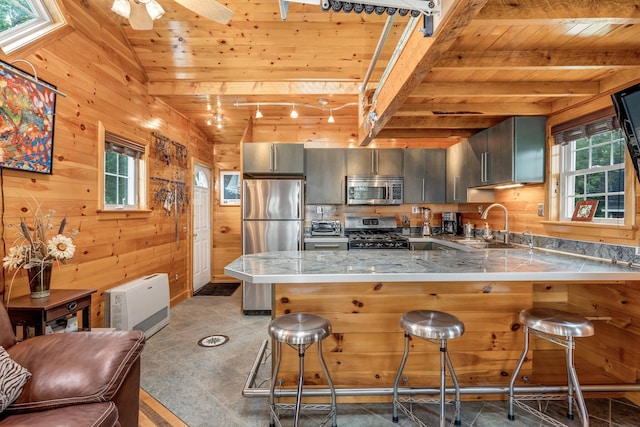 108/9 113 Sandy Beach Rd, Glenburn, ME 04401 - kitchen with appliances with stainless steel finishes, wood ceiling, healthy amount of natural light, a peninsula, and wood walls