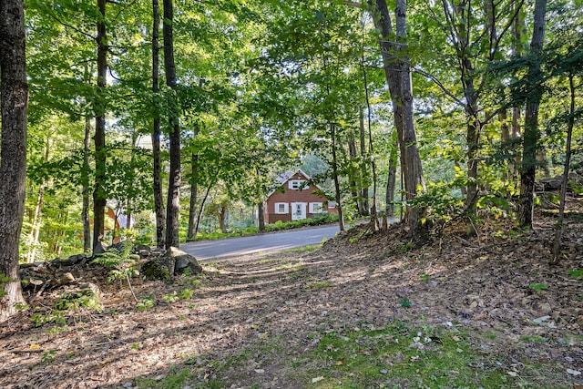 252 General Turner Hill Rd, Turner, ME 04282 - view of yard