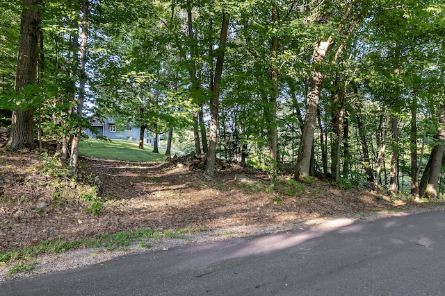 252 General Turner Hill Rd, Turner, ME 04282 - exterior space