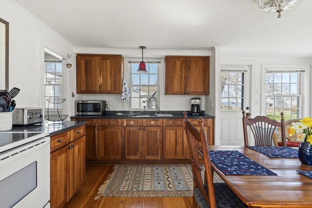 kitchen featuring stainless steel microwave, plenty of natural light, and a sink