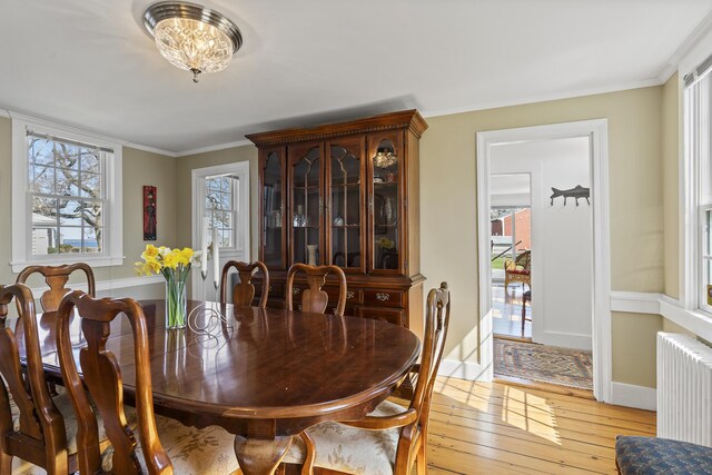 dining space with baseboards, ornamental molding, radiator heating unit, and light wood-style floors