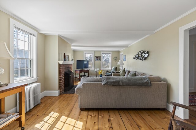 living area with crown molding, a brick fireplace, baseboards, radiator heating unit, and light wood-type flooring