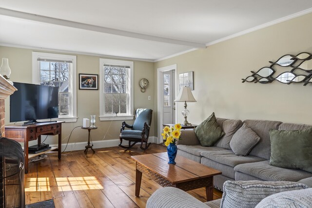 living room with baseboards, ornamental molding, and hardwood / wood-style floors