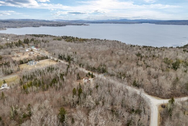 drone / aerial view featuring a water and mountain view