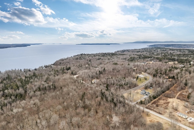 aerial view with a water and mountain view