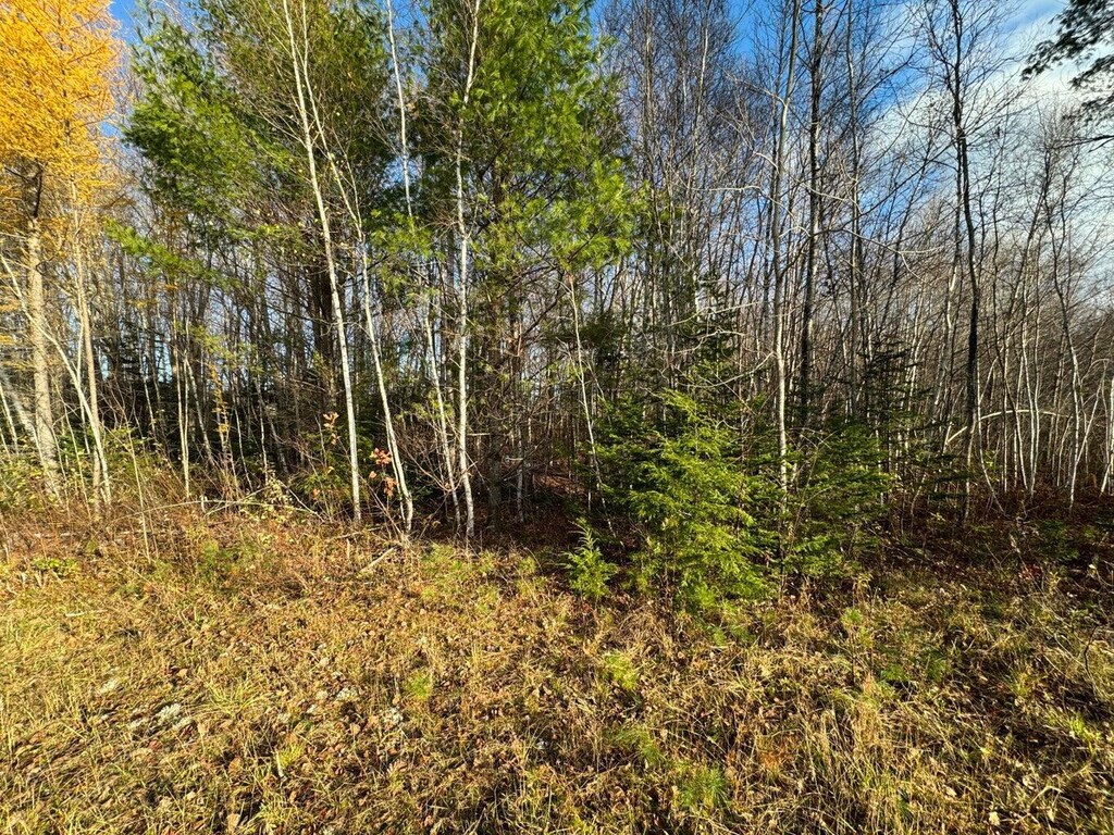 8 Caron Dr, Howland, ME 04448