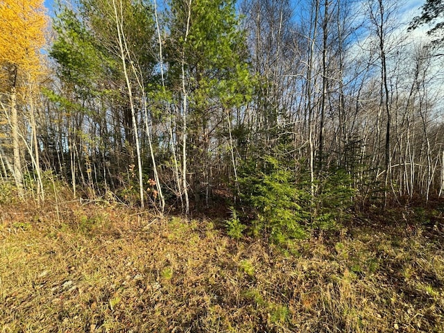 8 Caron Dr, Howland, ME 04448