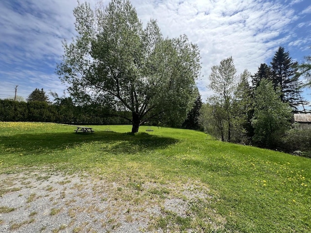 475 Main St, Van Buren, ME 04785 - view of grassy yard