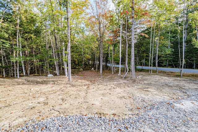 view of local wilderness with a wooded view