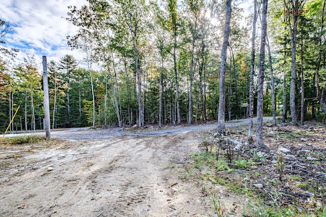 view of local wilderness featuring a wooded view