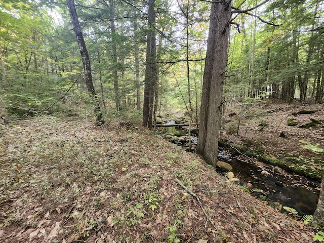view of nature featuring a wooded view