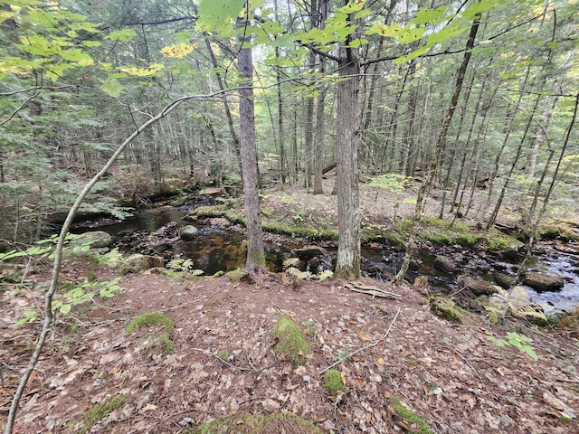 view of local wilderness with a view of trees
