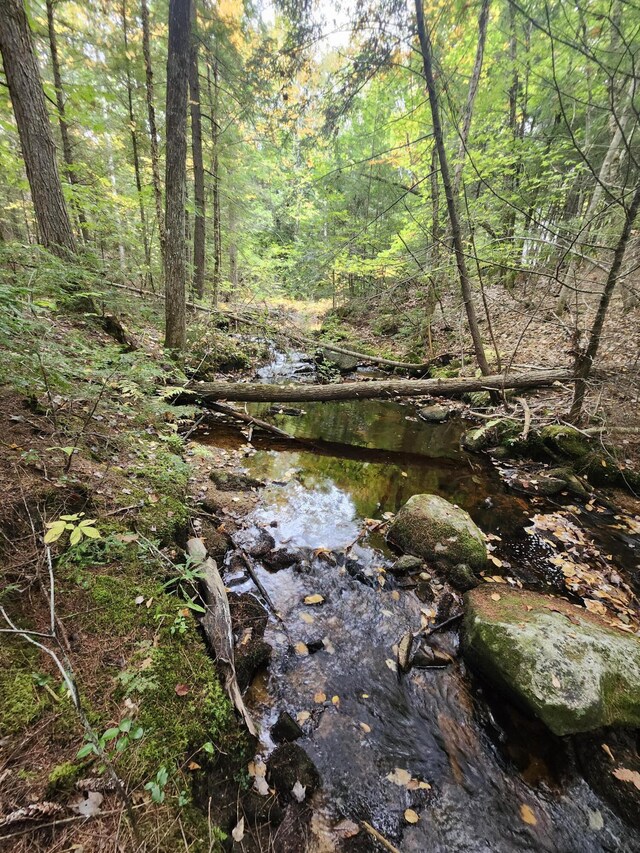 view of local wilderness featuring a wooded view