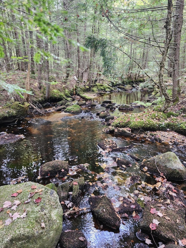 view of local wilderness with a wooded view