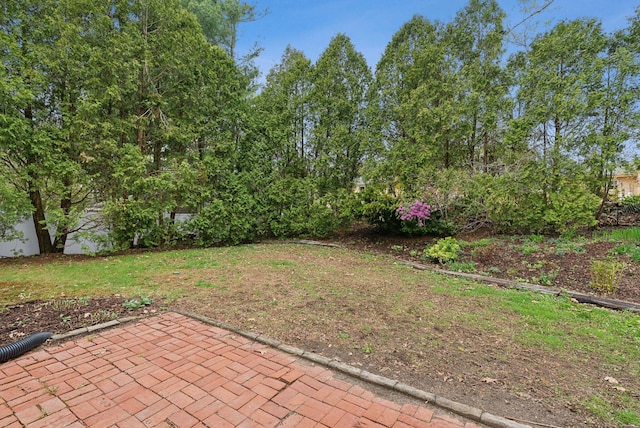 view of yard featuring a patio area