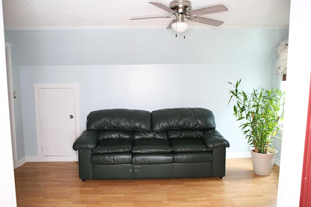 165 Pleasant Ave, Madawaska, ME 04756 - living area featuring wood finished floors, ceiling fan, a textured ceiling, crown molding, and baseboards