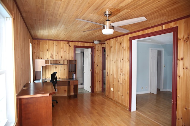 165 Pleasant Ave, Madawaska, ME 04756 - unfurnished office with wooden walls, ceiling fan, wood finished floors, wooden ceiling, and crown molding