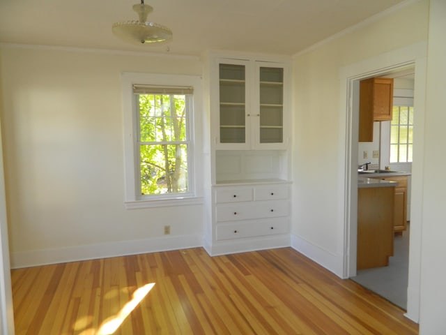1 Prospect St, Sanford, ME 04083 - spare room with crown molding, baseboards, and light wood-type flooring