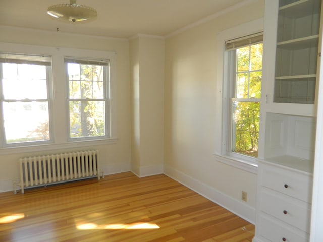 1 Prospect St, Sanford, ME 04083 - empty room with plenty of natural light, light wood-style flooring, crown molding, and radiator