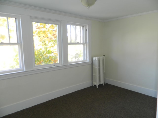 1 Prospect St, Sanford, ME 04083 - unfurnished room featuring a healthy amount of sunlight, radiator heating unit, and dark colored carpet