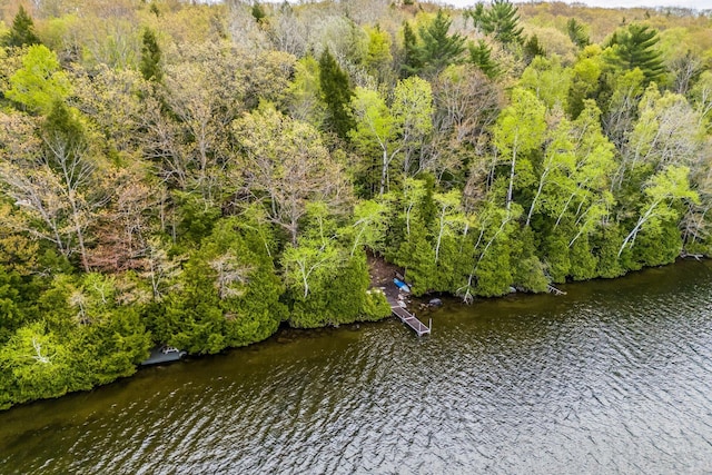 29 Gables End, Belgrade, ME 04917 - photo 55