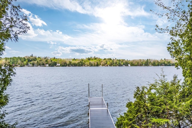 29 Gables End, Belgrade, ME 04917 - photo 58