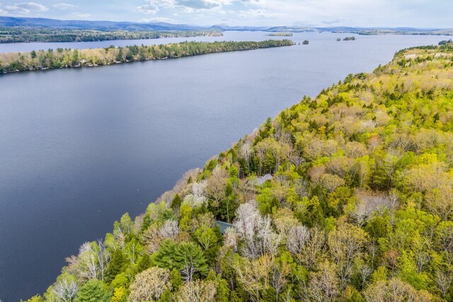 29 Gables End, Belgrade, ME 04917 - photo 59