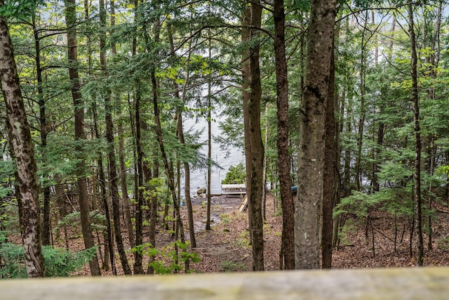 29 Gables End, Belgrade, ME 04917 - photo 9