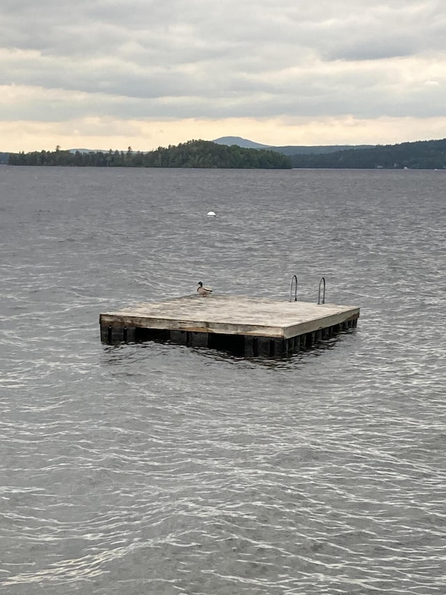 747 S Shore Dr Unit 6, Rangeley Plt, ME 04970 - dock area with a water view
